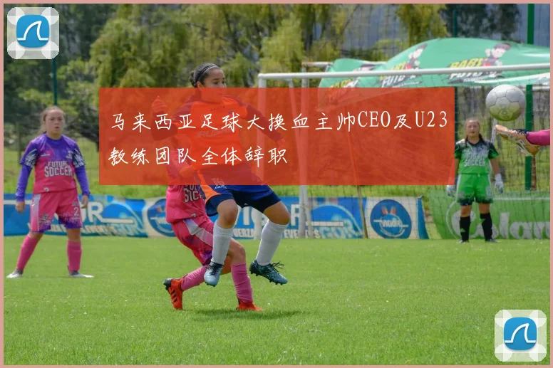 马来西亚足球大换血主帅CEO及U23教练团队全体辞职